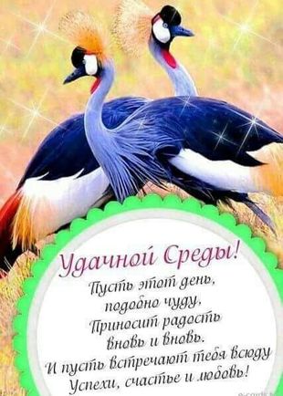 Карина, Москва, Котельники, 22 года, анкета 3063, +7 965 488-73-35
